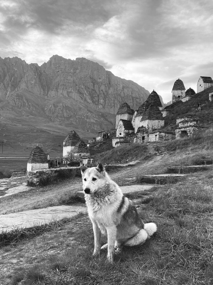Photograph by Olga Marchenko