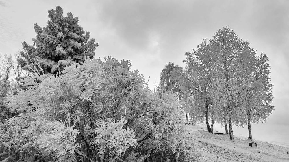 Фотография автора Сергей Низовцев