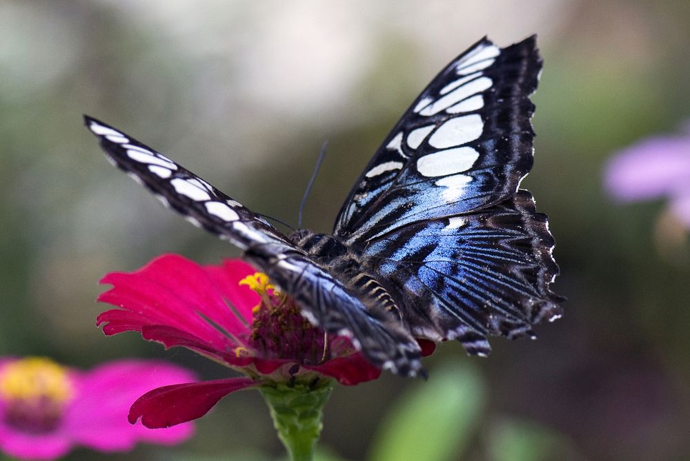 Photograph by Ястребцов Олег