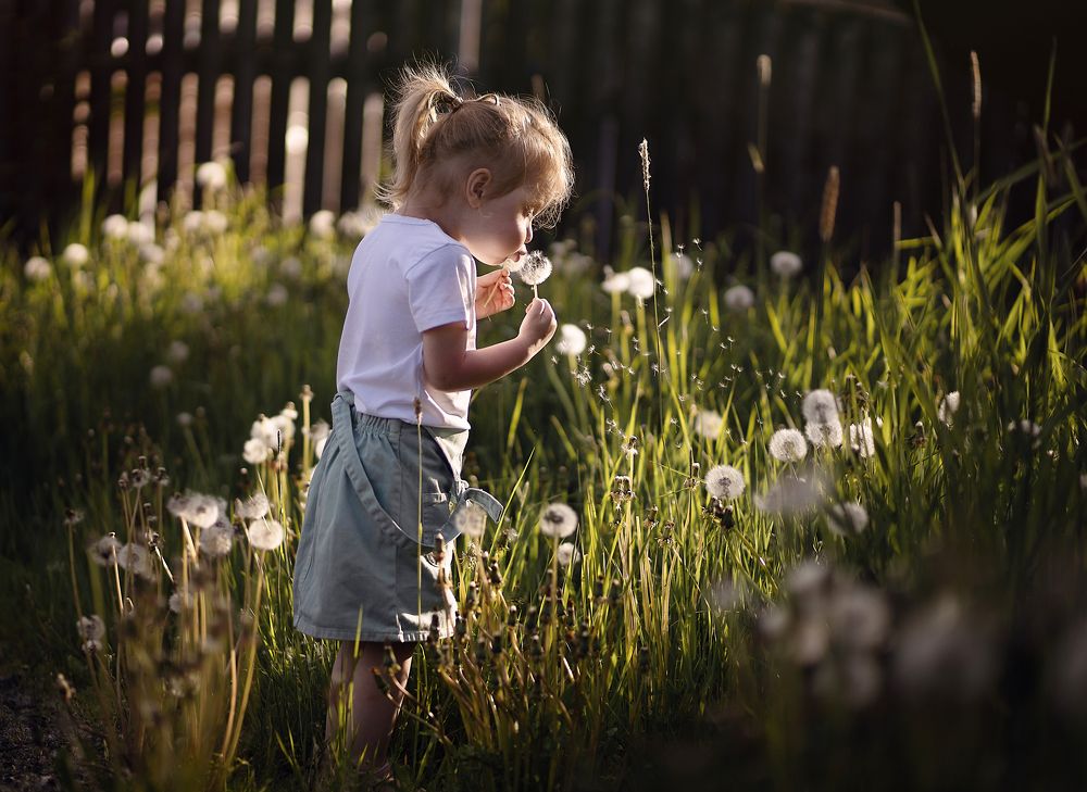 Фотография автора Елена Дворцова