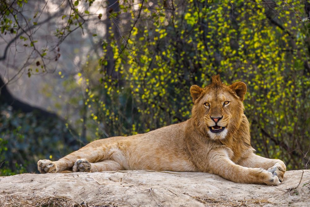 Photograph by Zaheer Aslam Khan