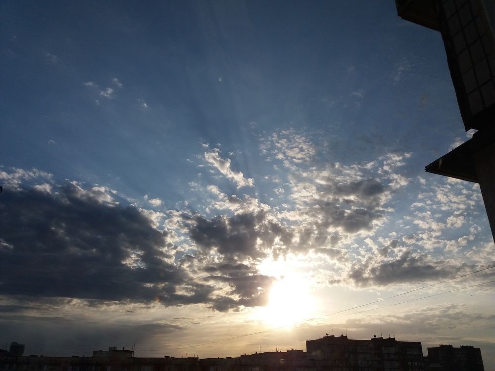 Photo #7320453