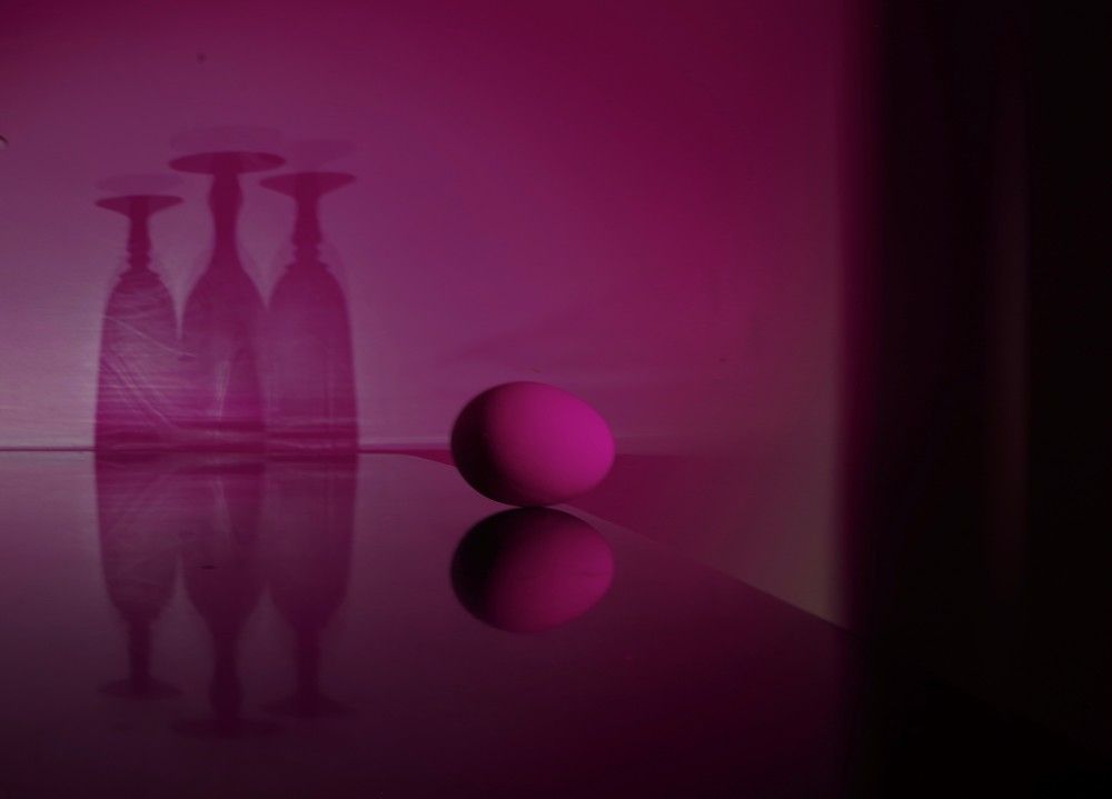 Photograph by ljubov robaltsenko