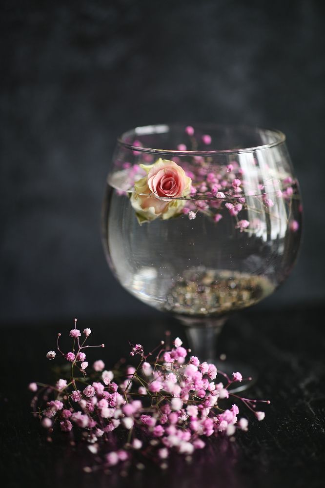 Photograph by Аня Малышева