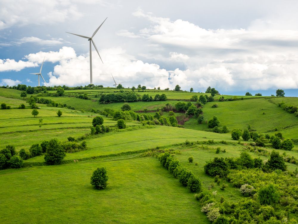 Photograph by Pucs Fongabe