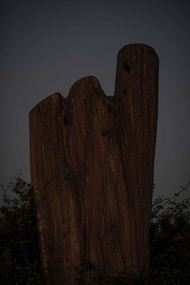 Photograph by Maria Mac lean