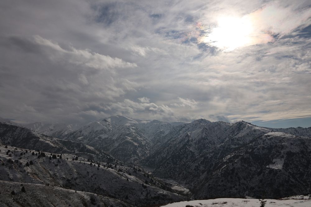 Photograph by Ekaterina