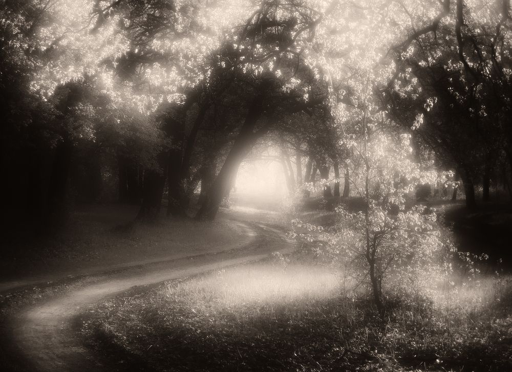 Фотография автора Игорь Баранов