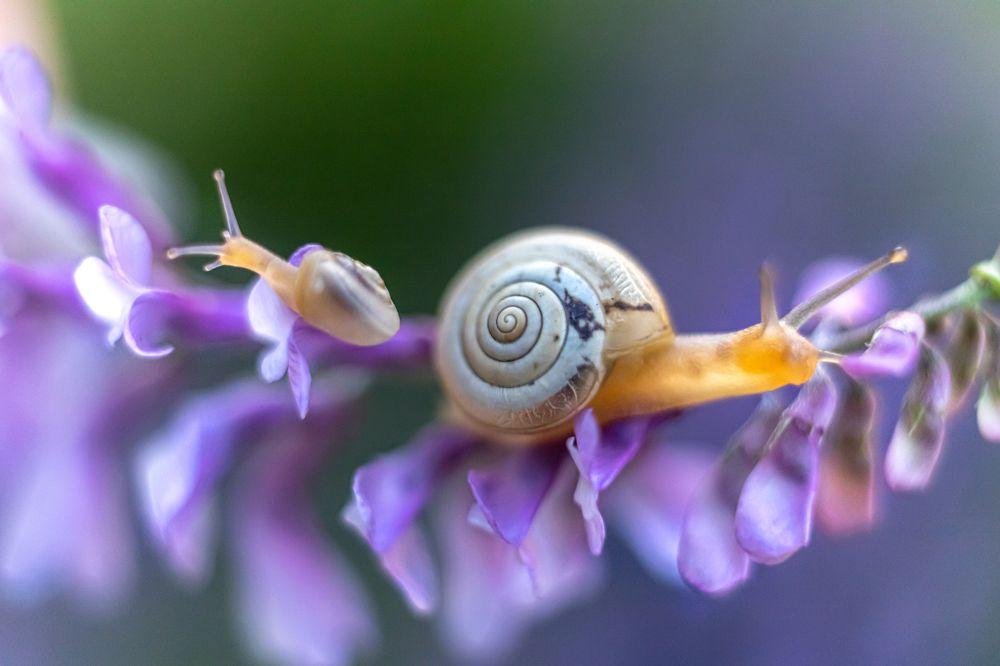 Photograph by Марина Сидоренко