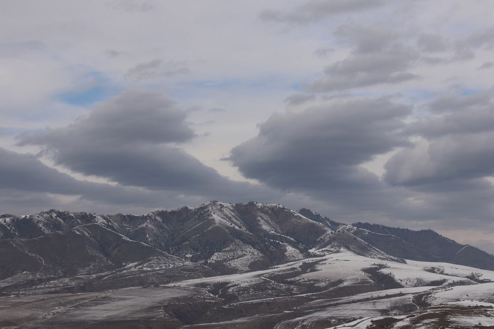 Photograph by Ekaterina