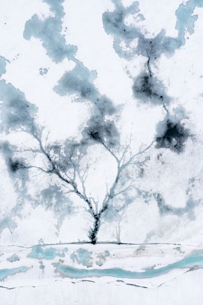 Photograph by Елена Верещака