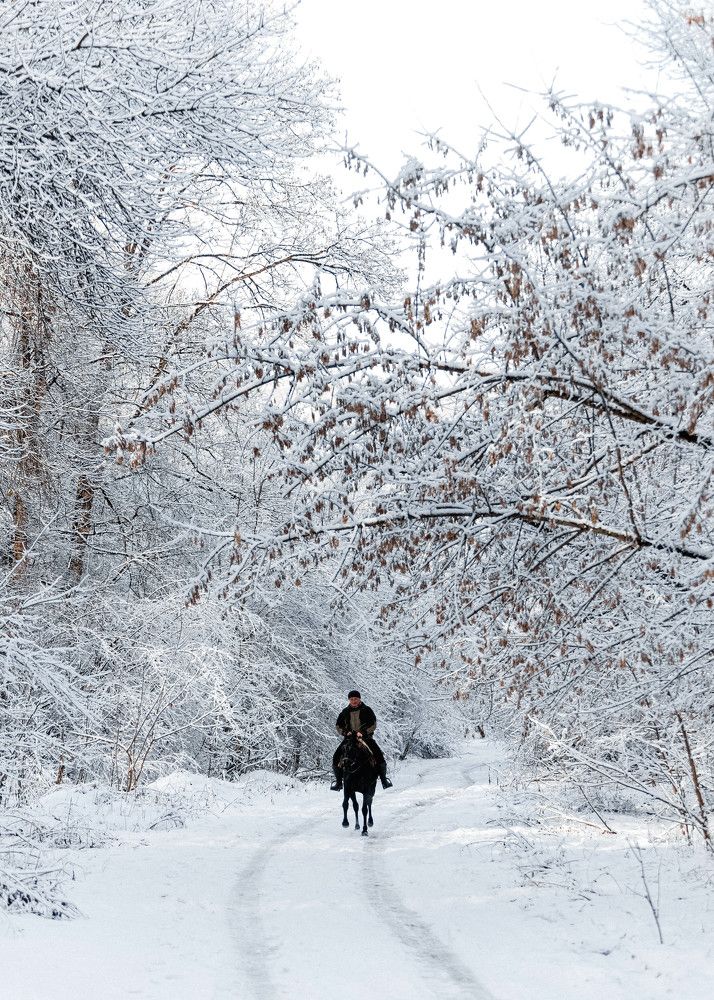 Photograph by Виктор Жулин