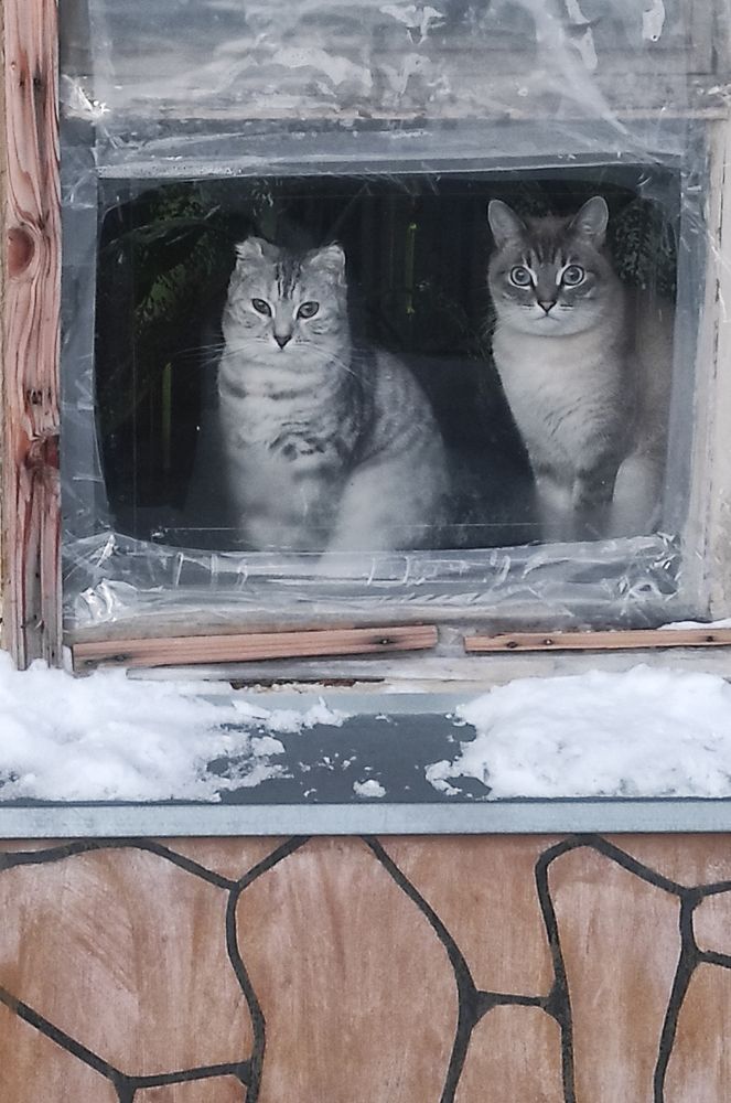 Photograph by Максим Николаев