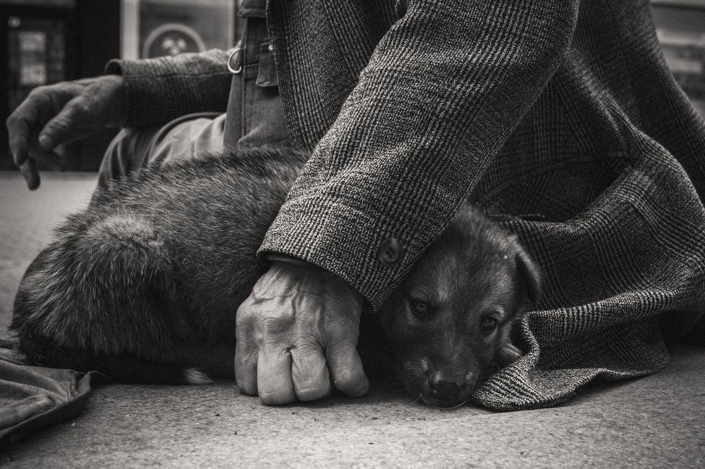 Photograph by Yana Orlova