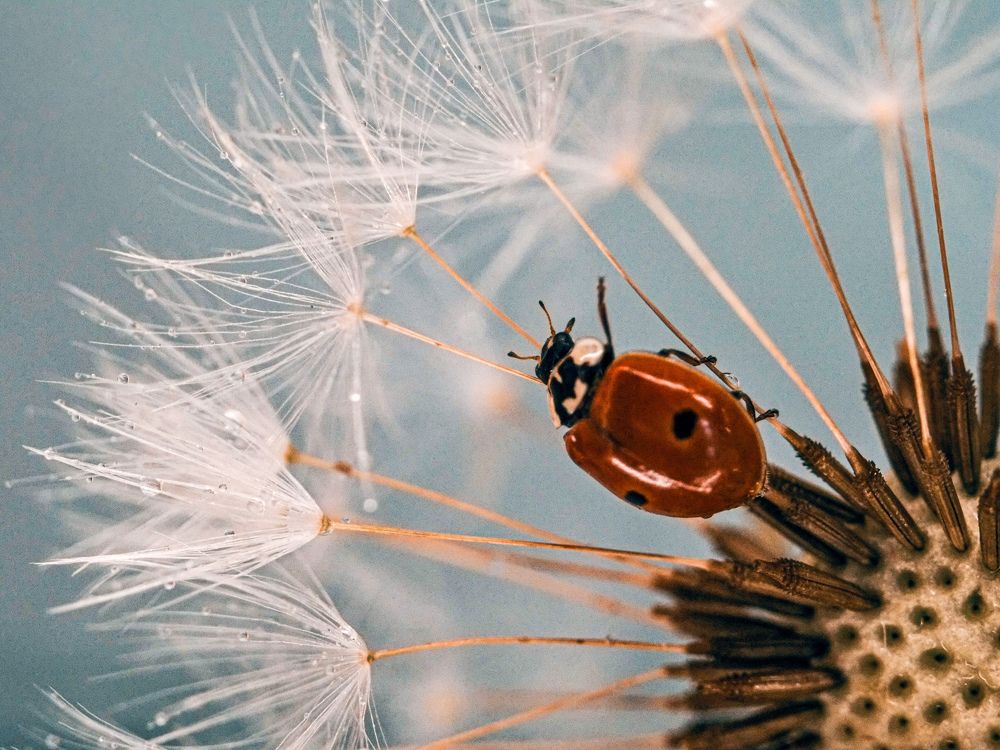 Photograph by Юлия Иванова