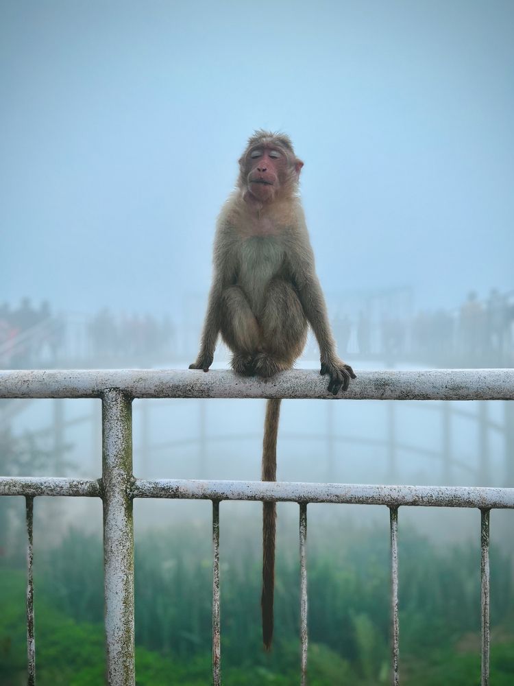 The calm amidst the chaos!