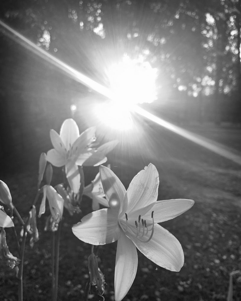 Photograph by Светлана Курганова