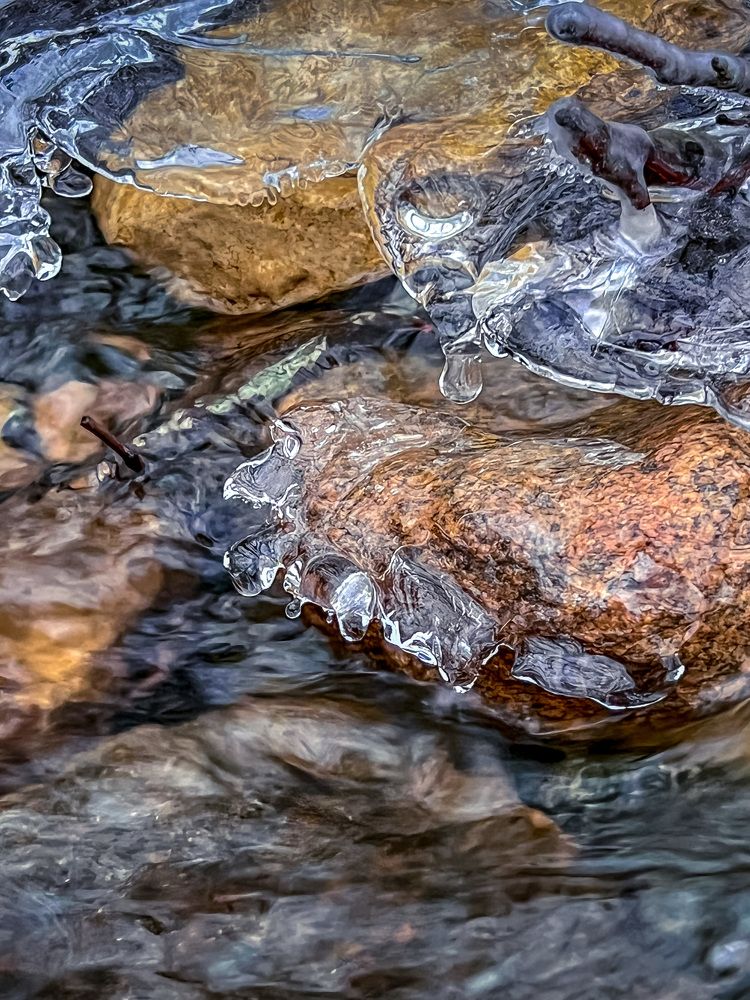 Photograph by Елена Башмакова