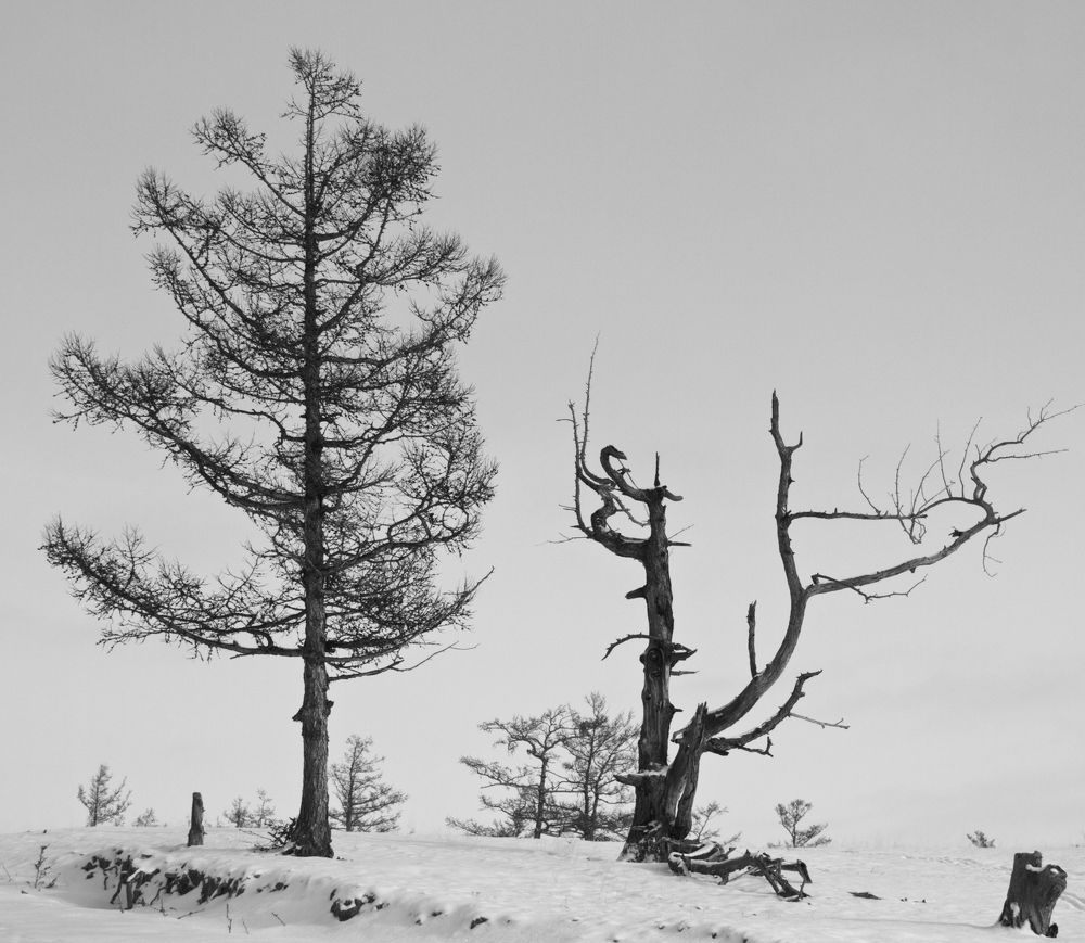 Photograph by Алёна Гильмуллина