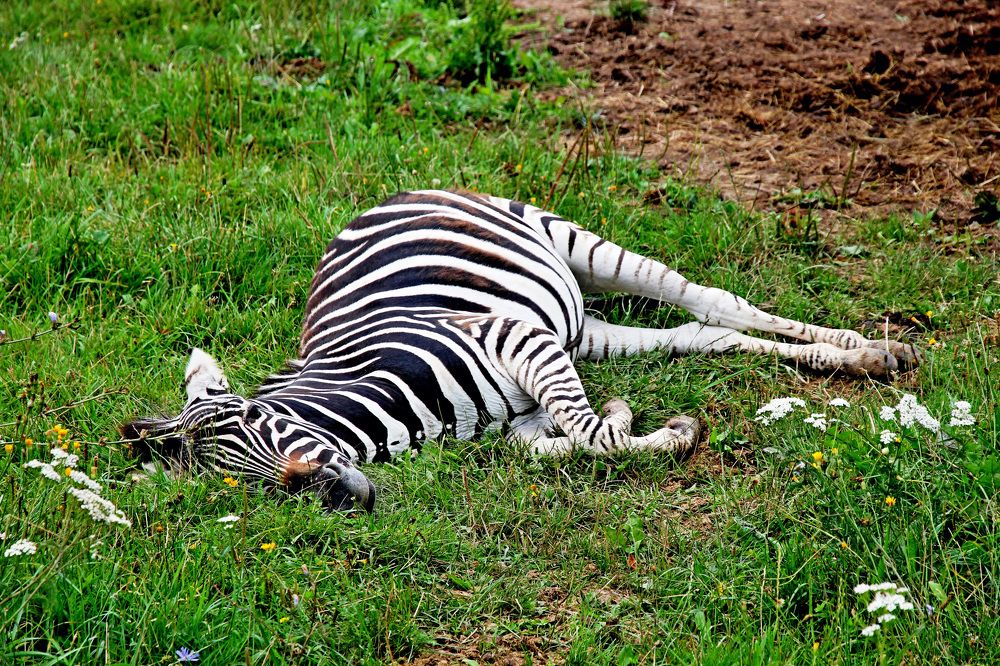 Photograph by Александр Бугаенко