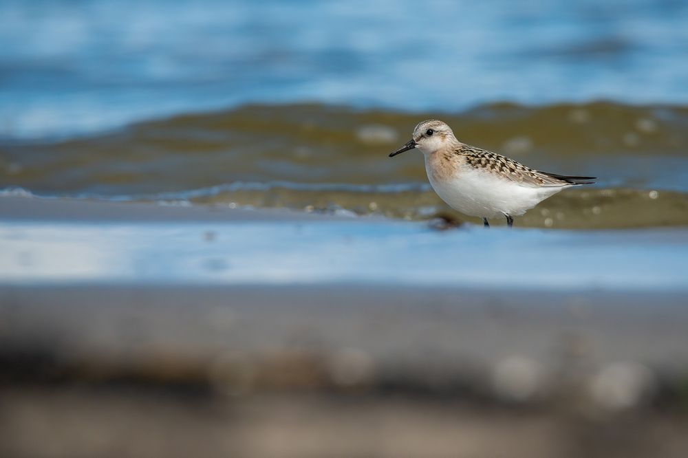 Photograph by Gatis Vilbrants