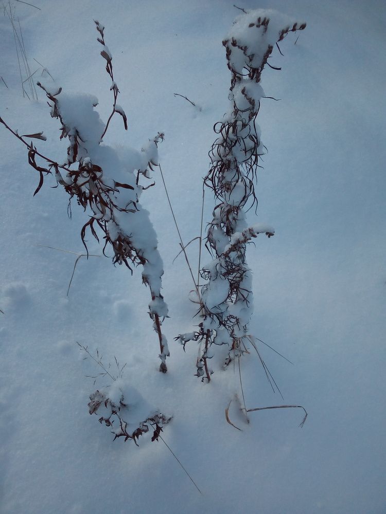 Photograph by Евгений Кочунов