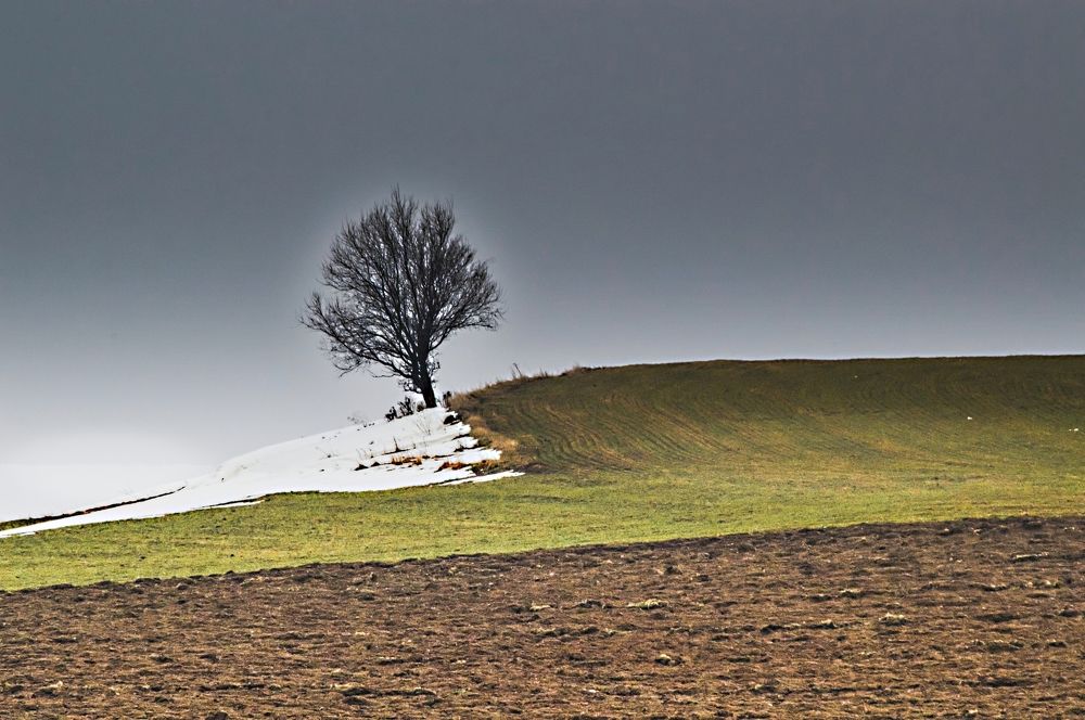 Photograph by Jozef Potocký