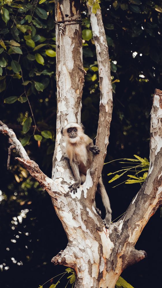 Photograph by Rudra Patel