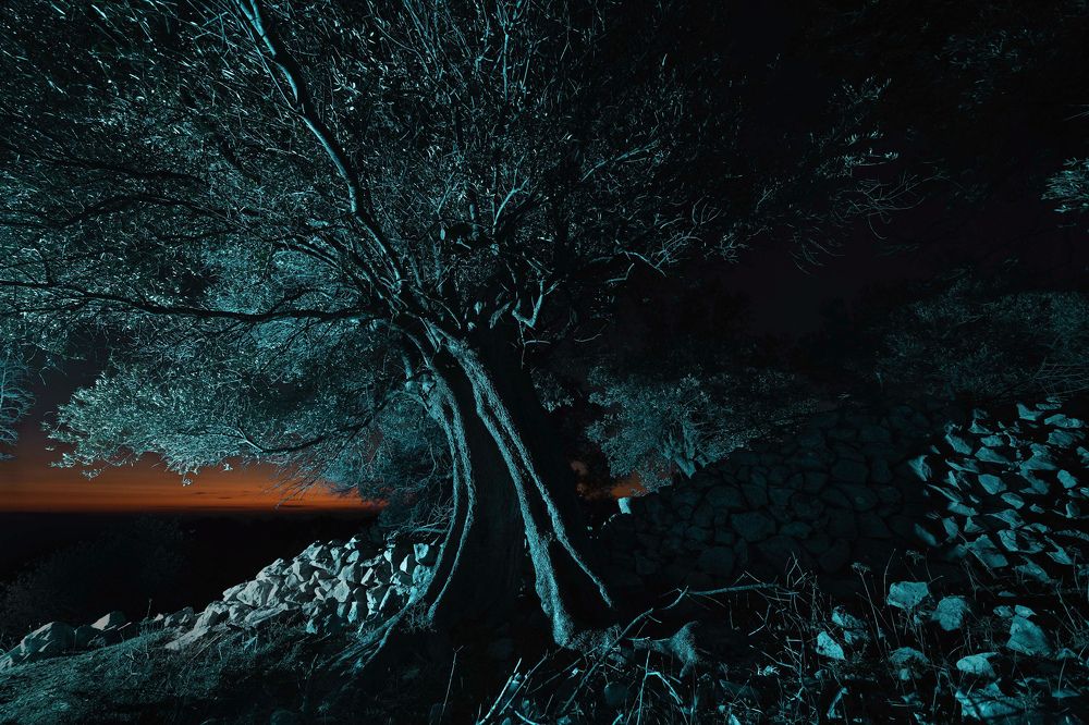 Photograph by Mladen Dizdar