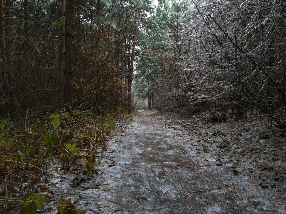 Photograph by Богдан