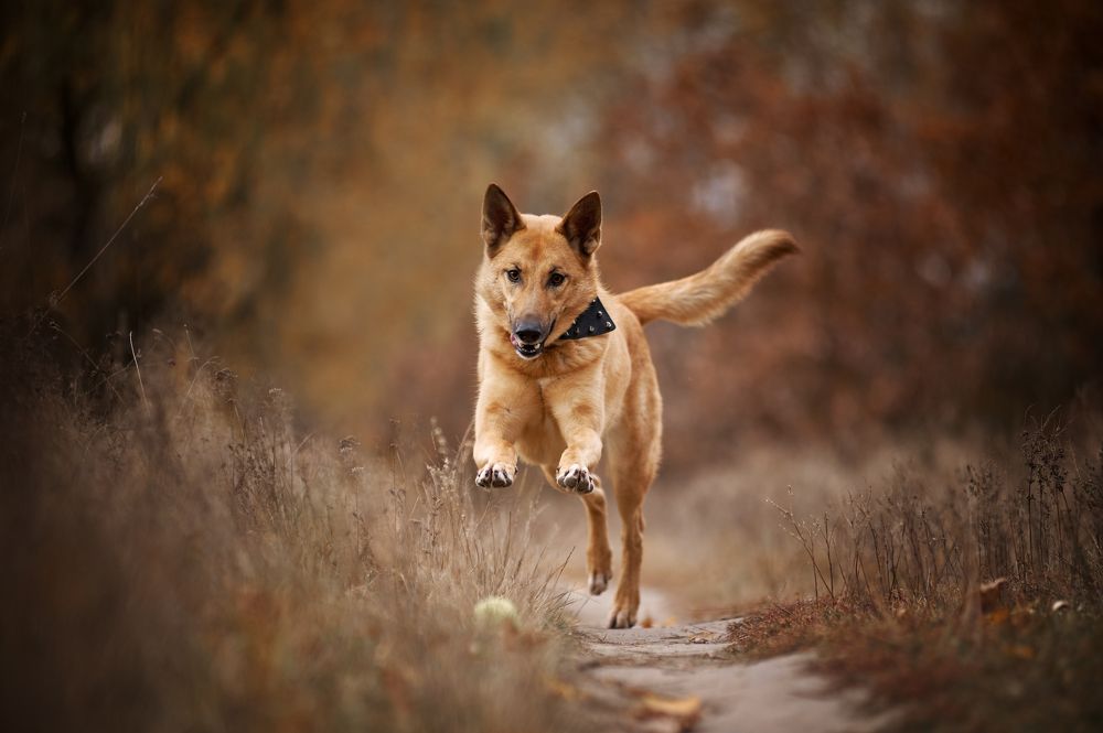 Фотография автора Дарина Матасова