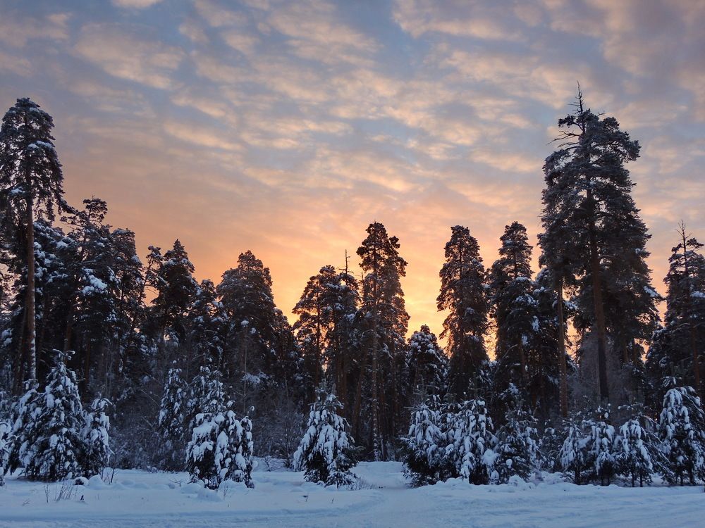 Photograph by Николай Николаевич Леухин