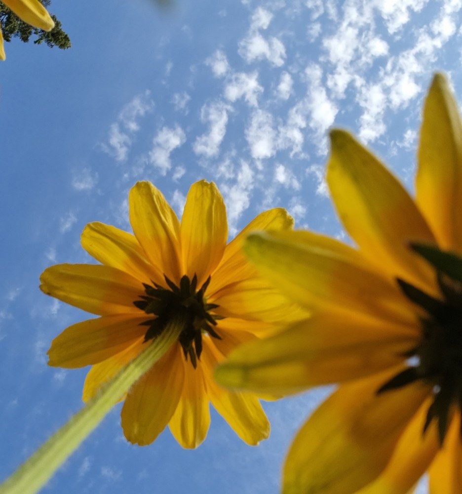 Photograph by Евгений Фесенко