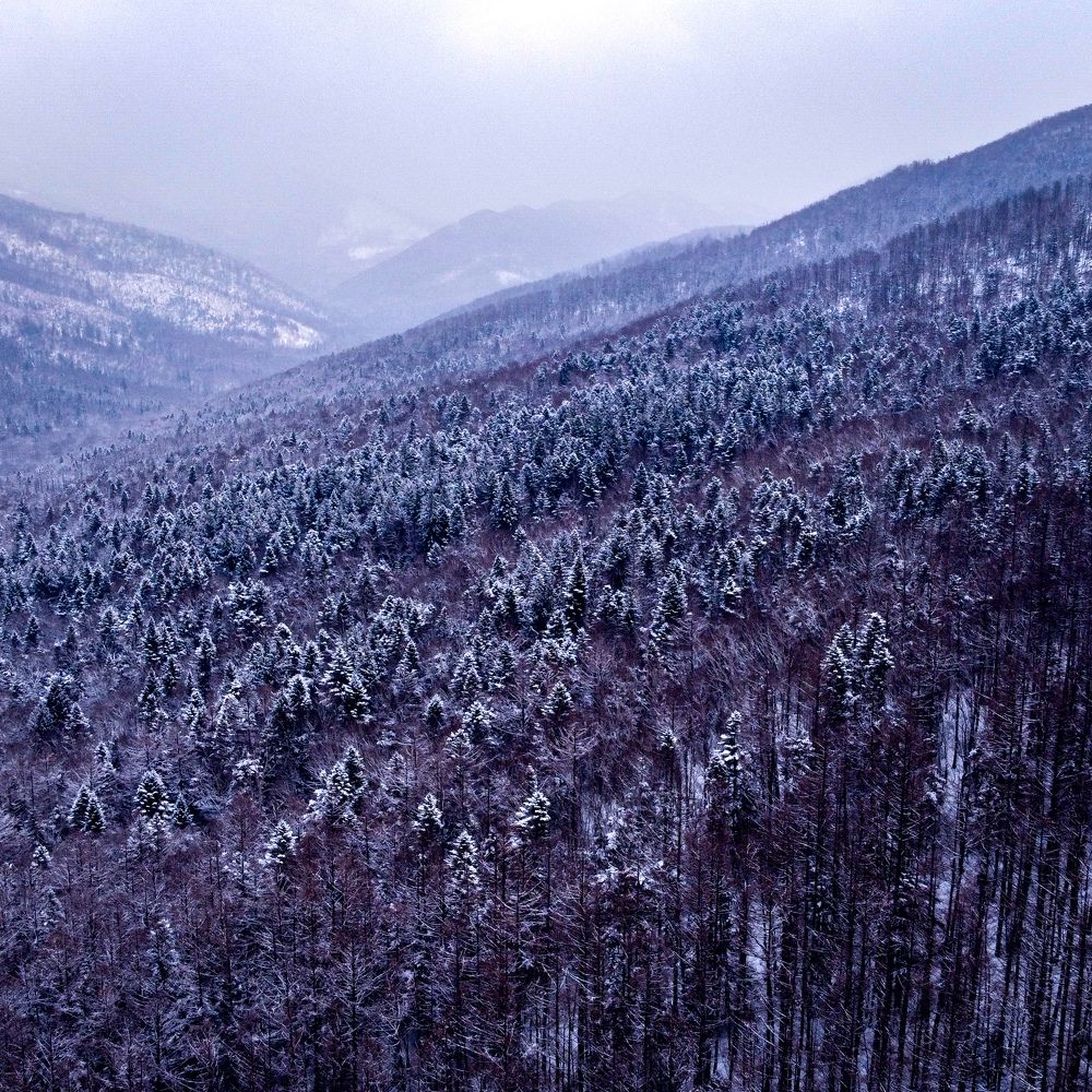 Photograph by Алексей Шарапов