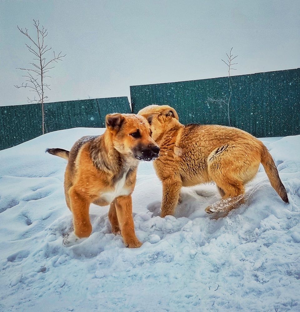 Photograph by Василий Садовский