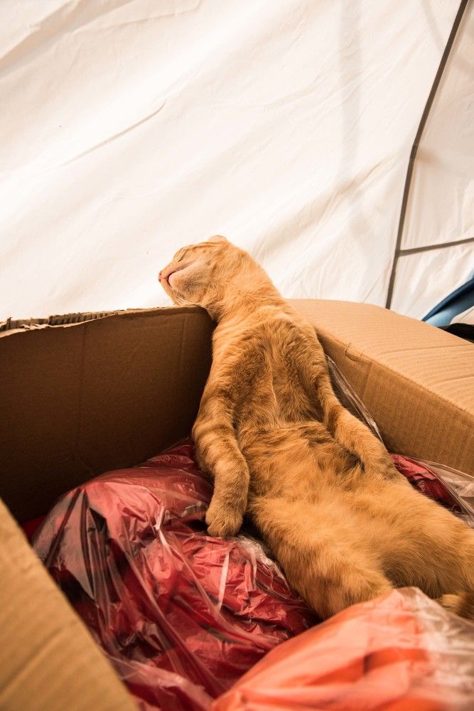 Photograph by Михаил Кравченко