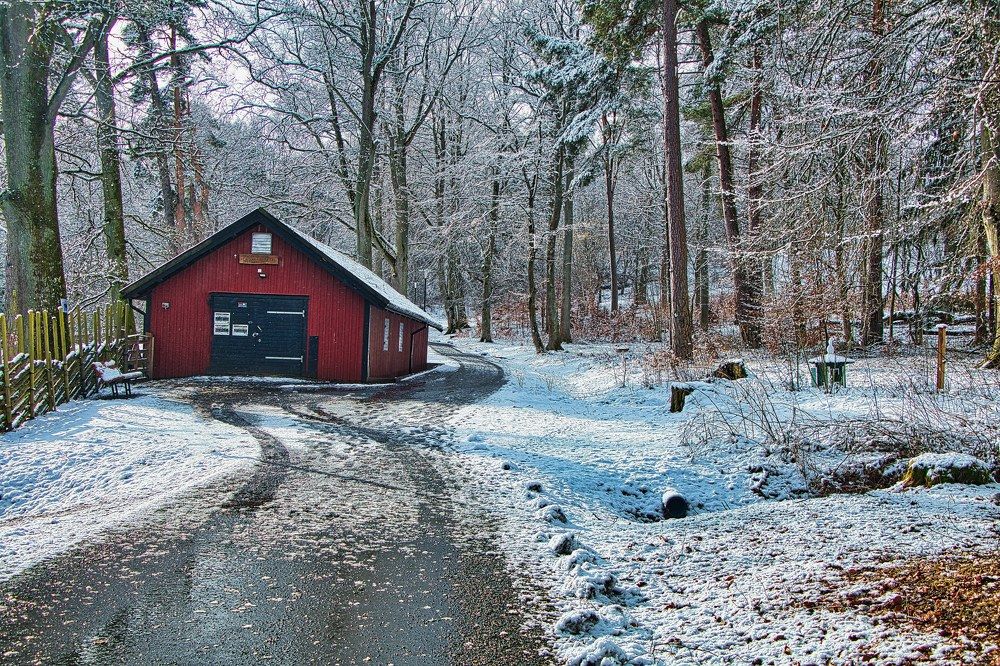 The Cabin in the Forest