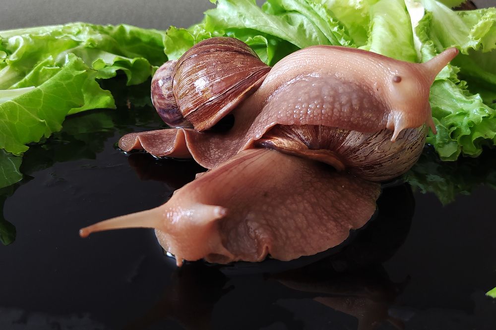 Photograph by Irina Nazarova