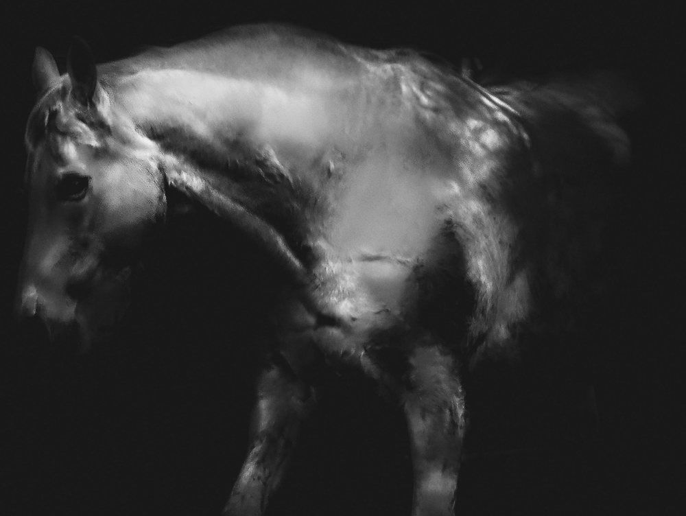 Photograph by Giuseppe Catalano