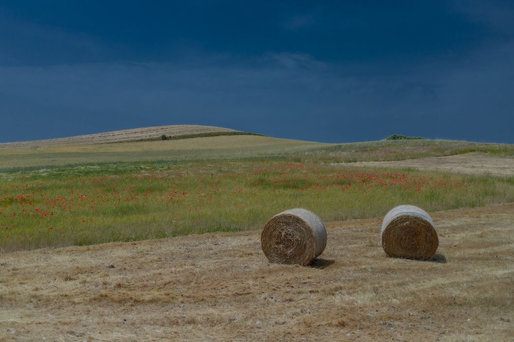 Photograph by Елизавета Калинина