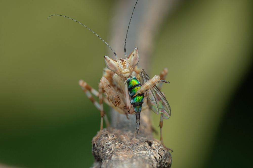 Photograph by Yoke Moy Liew