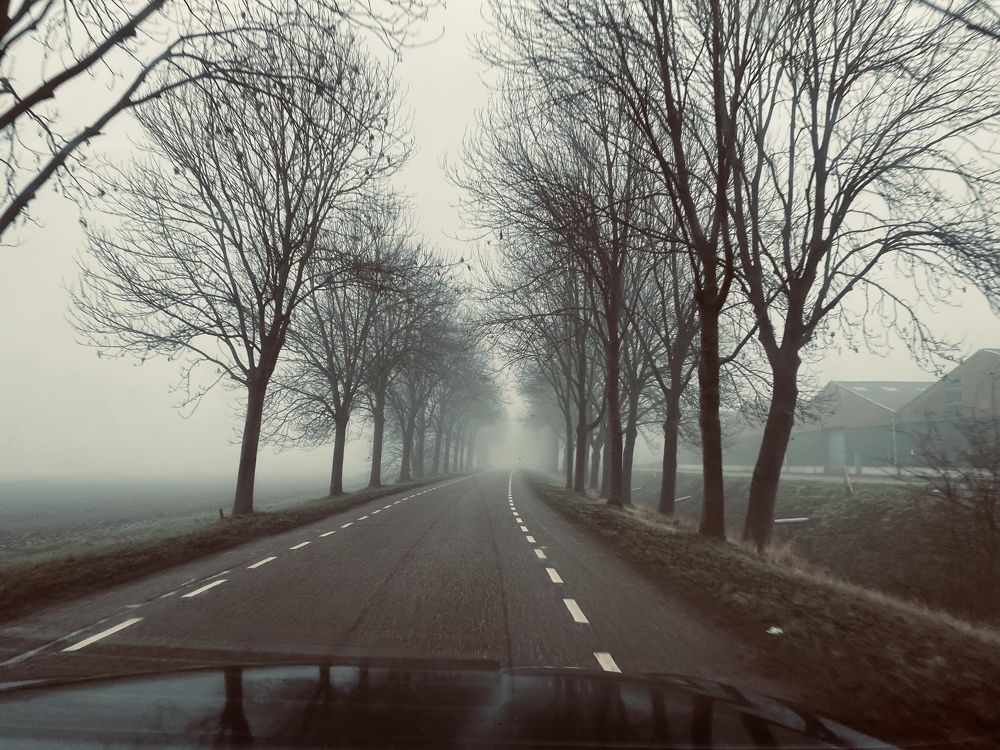Photograph by Julia S