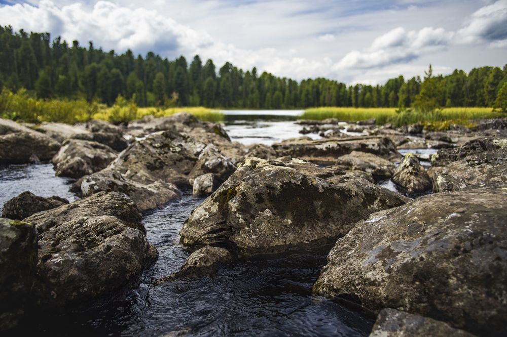 Photograph by Андрей Руднев