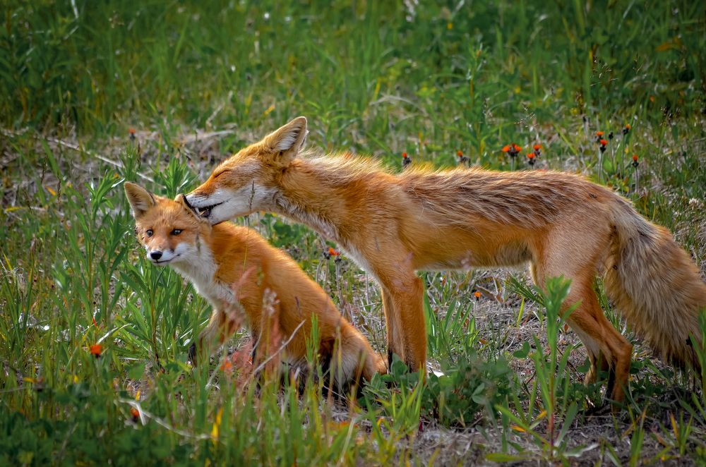 Photograph by Вероника Романенко