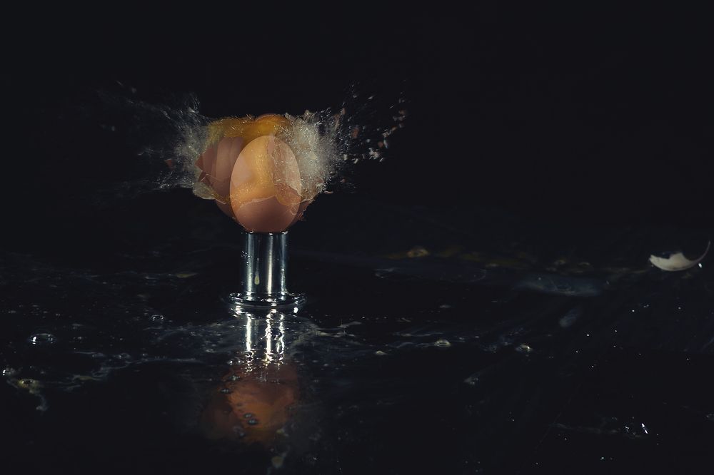 Photograph by Lisowska Monika