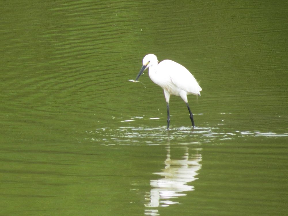Photograph by Ashis Pramanik