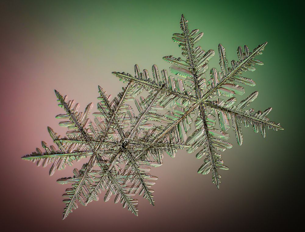 Photograph by андрей захаров