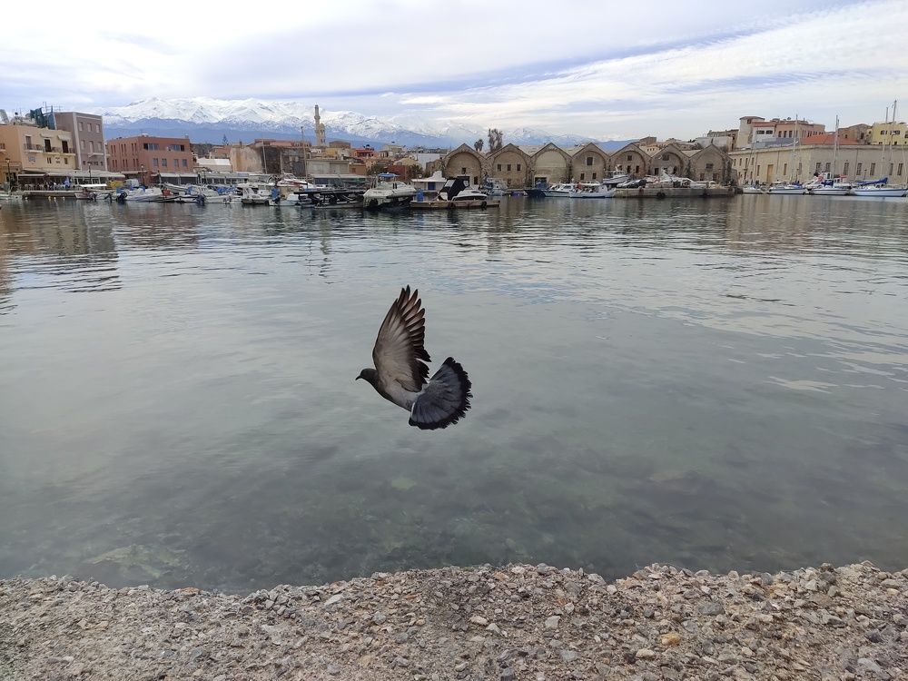 Photograph by Елена