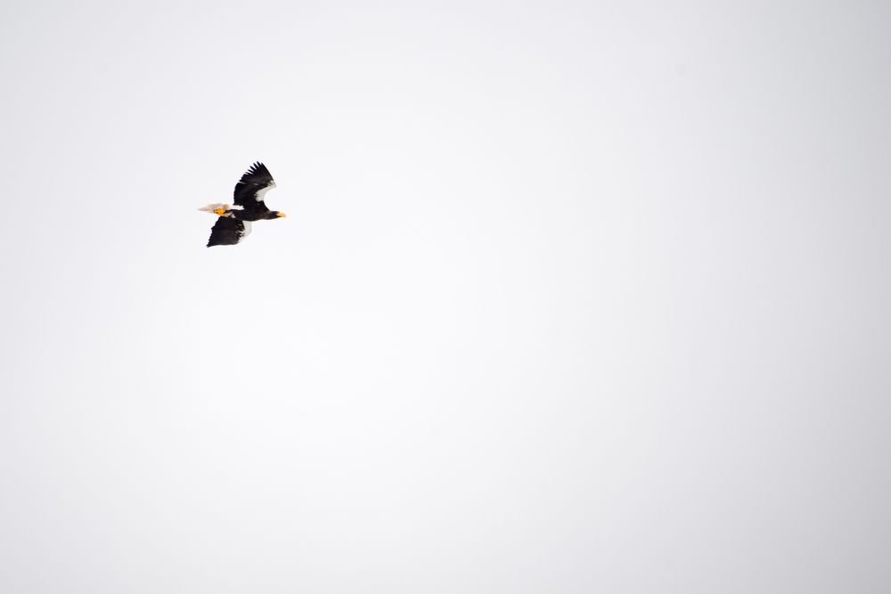 Photograph by Вероника Романенко