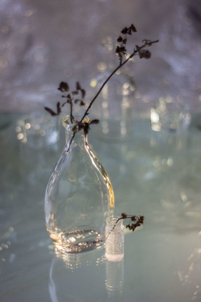 Photograph by Нина Кутина